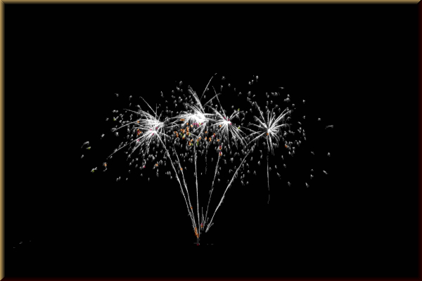 NICO Europe 13521 Silver Coconut, 6 Schuss - Bild 2